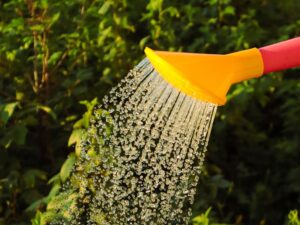 a watering spout glistens in the sun