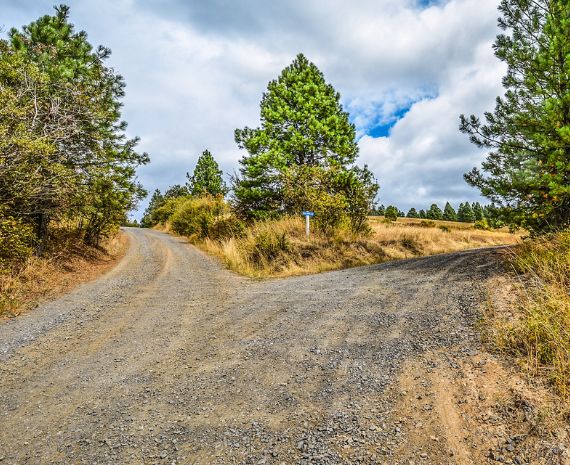 Diverging paths demand choices