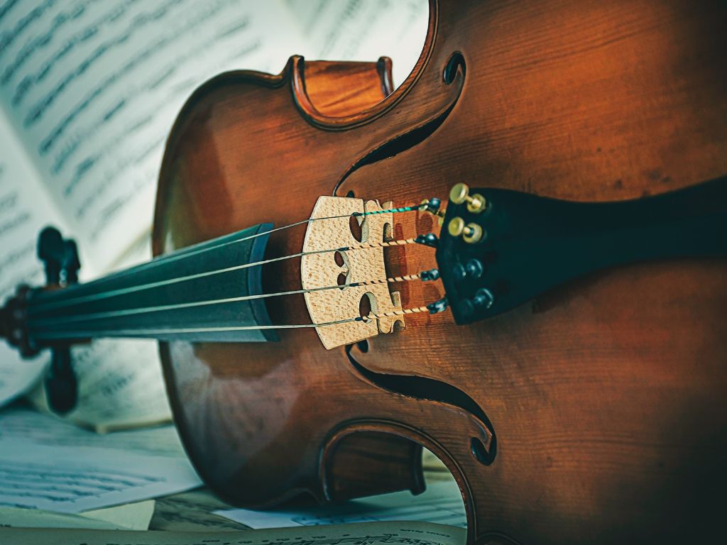 Every cellist or other creative needs a website